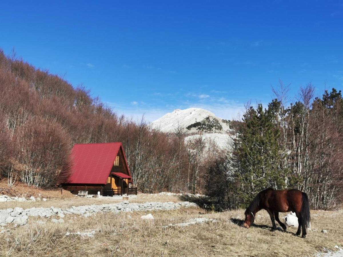 Breeze Home Cottage Cetynia Zewnętrze zdjęcie